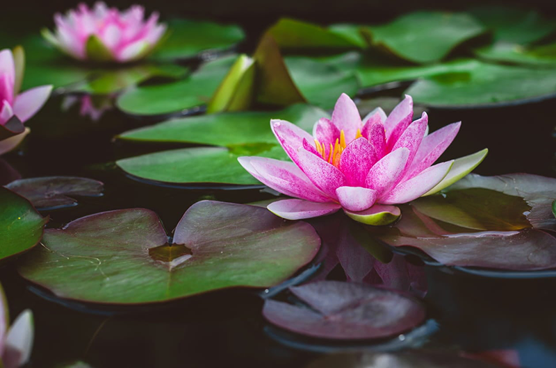 Your Internal Compass: Building a Career on What Matters Most